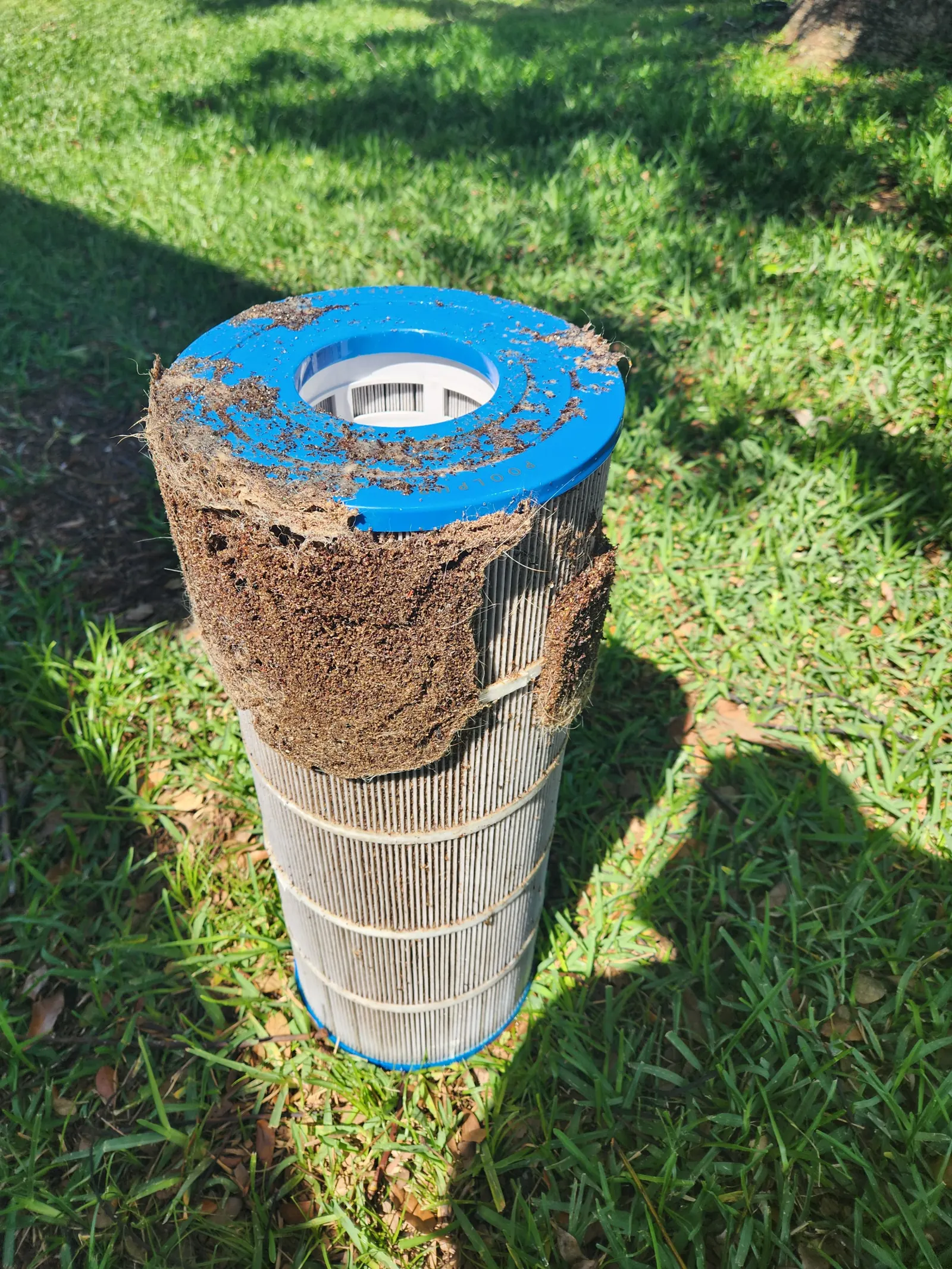 Dirty, clogged pool filter cartridge pulled for cleaning