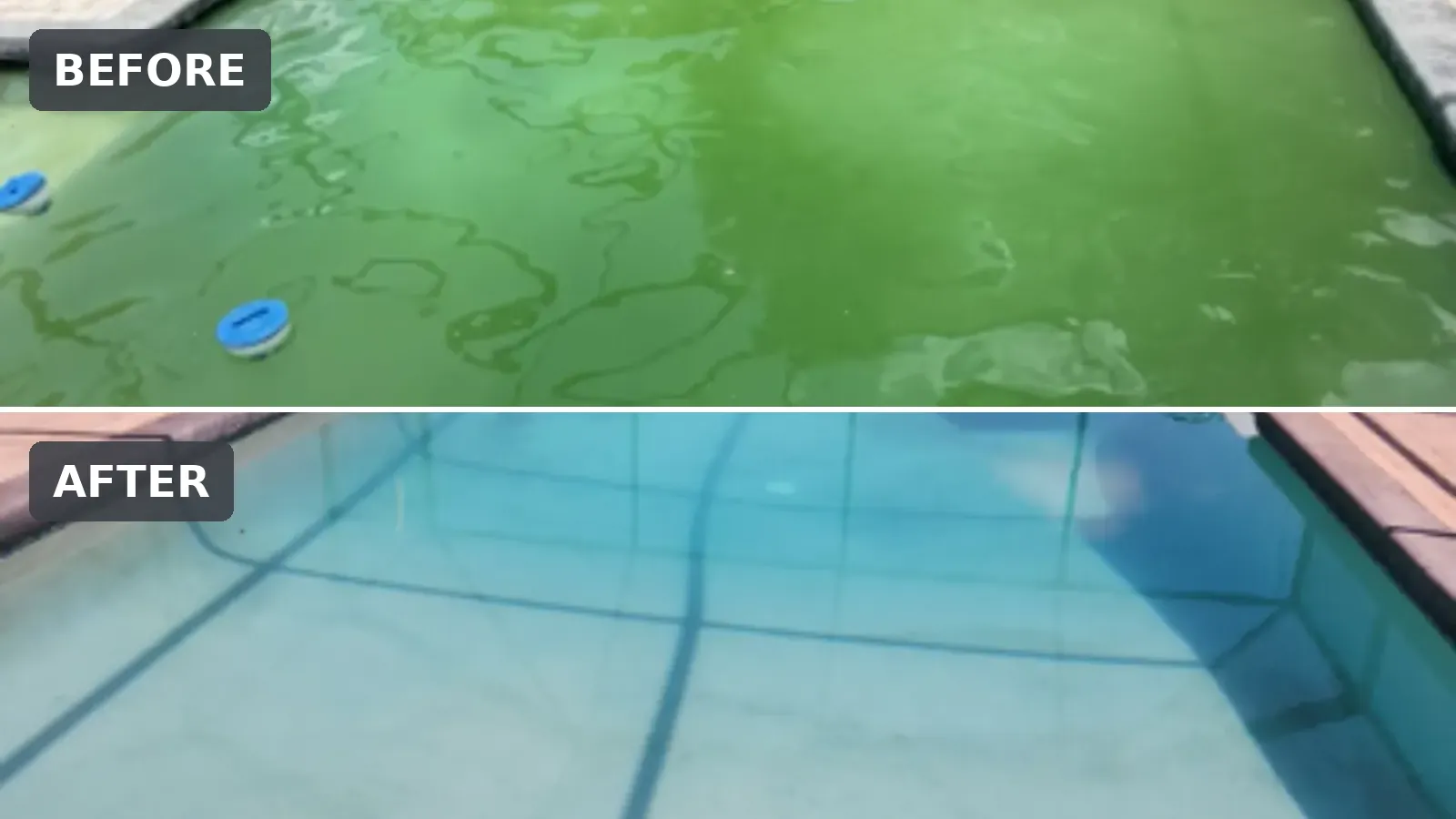 Green pool before and clear pool after a green-to-clean recovery in Brooksville