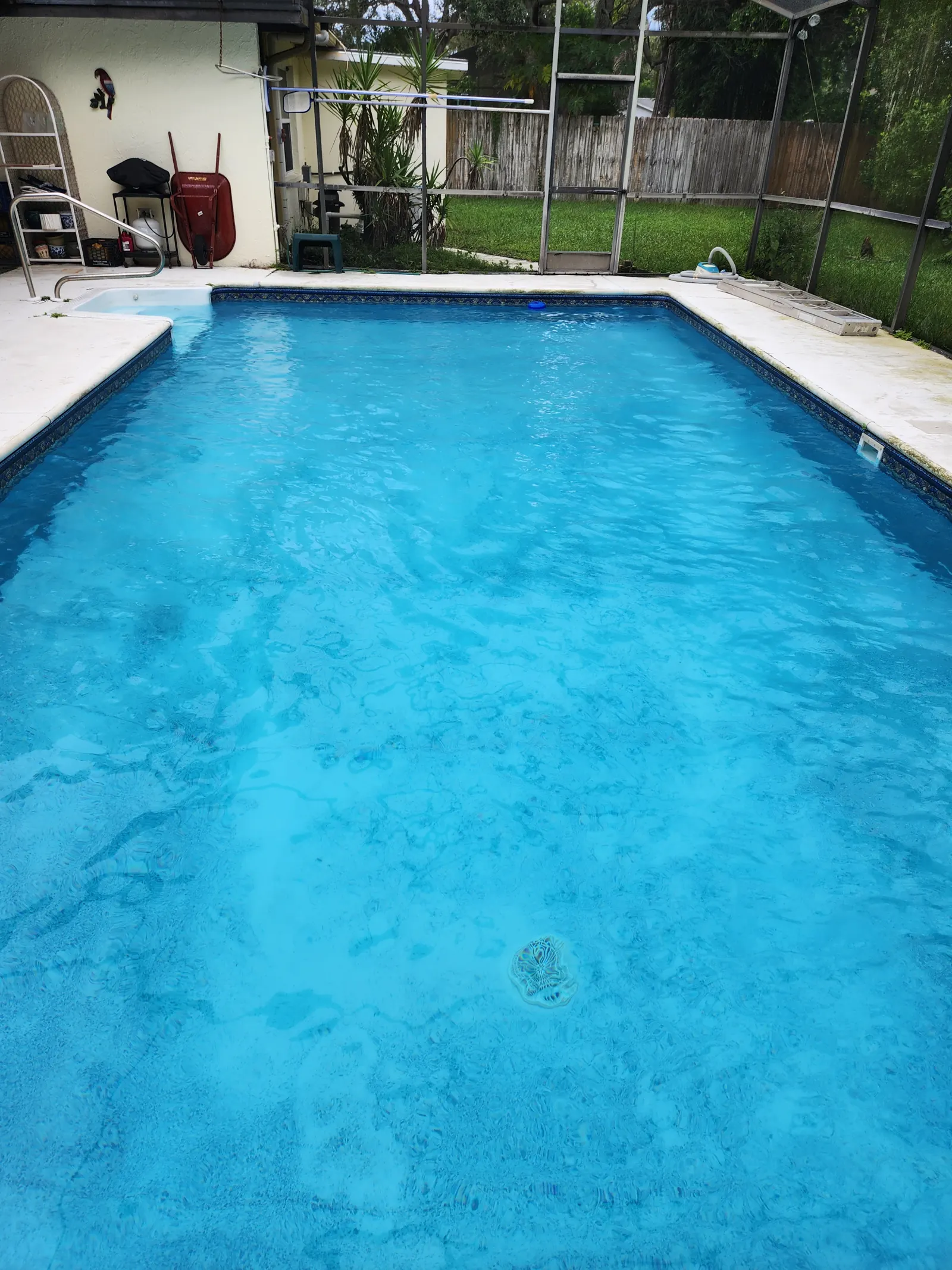 Clear, balanced pool water in a screened Spring Hill pool