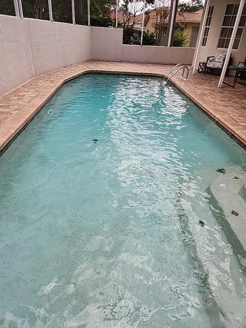Clean rectangular pool with a brick-paver deck in Timber Pines, Spring Hill