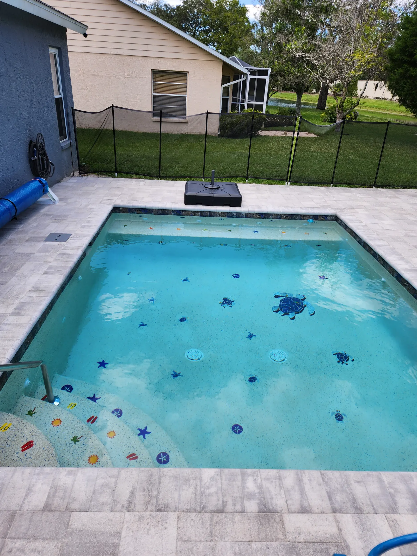 Clean pool with turtle and starfish tiles in Timber Pines, Spring Hill
